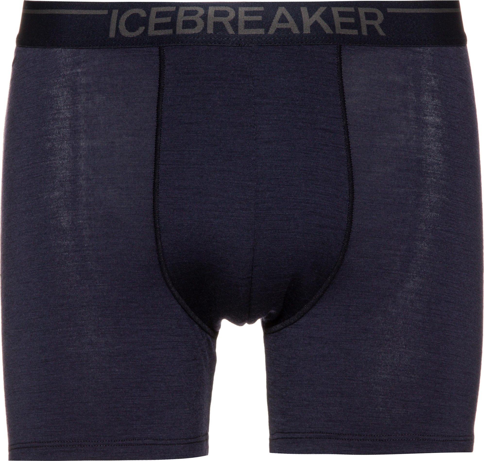 ICEBREAKER Sportovní spodní prádlo 'Anatomica' noční modrá / hnědá / tmavě fialová
