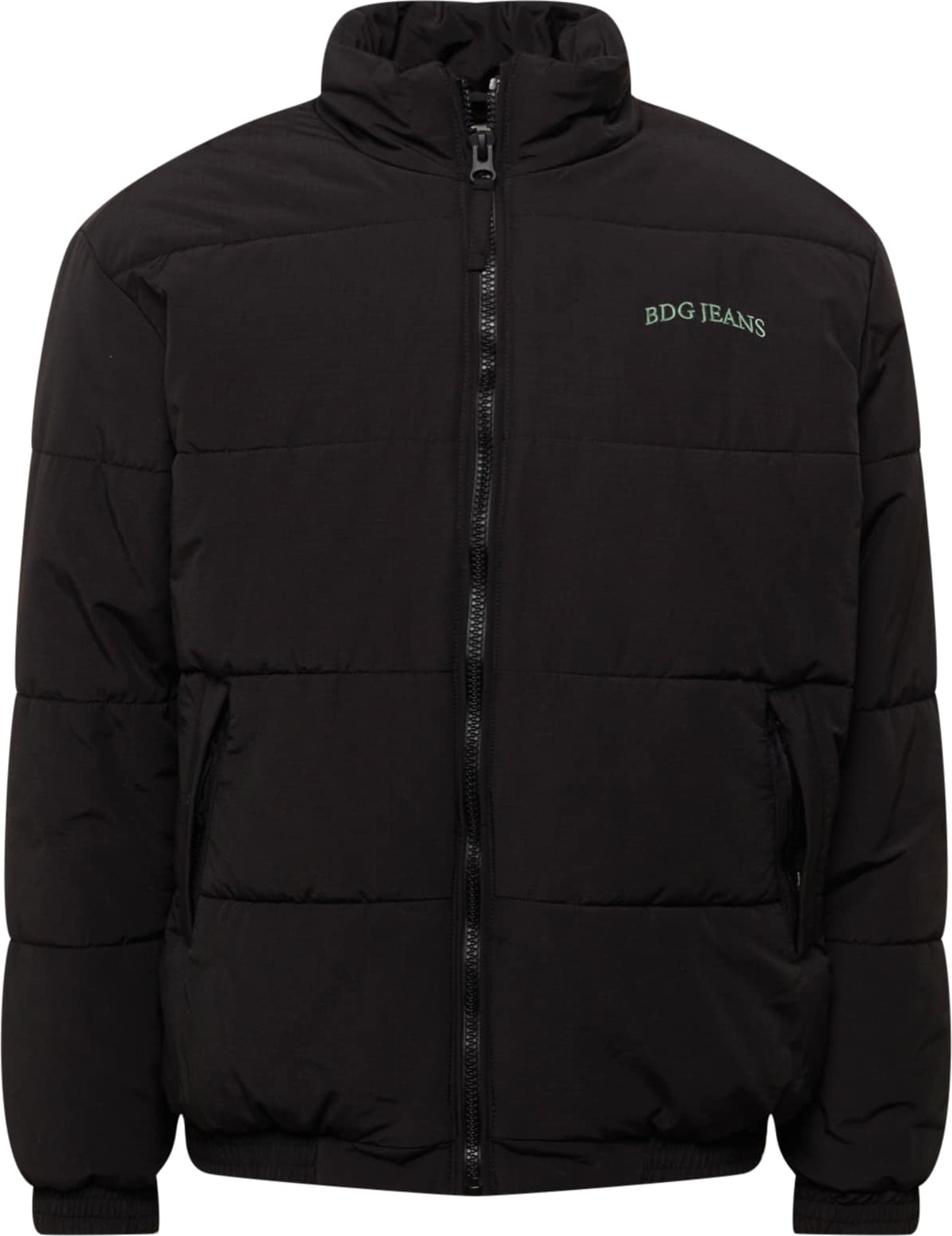 BDG Urban Outfitters Zimní bunda černá / zelená