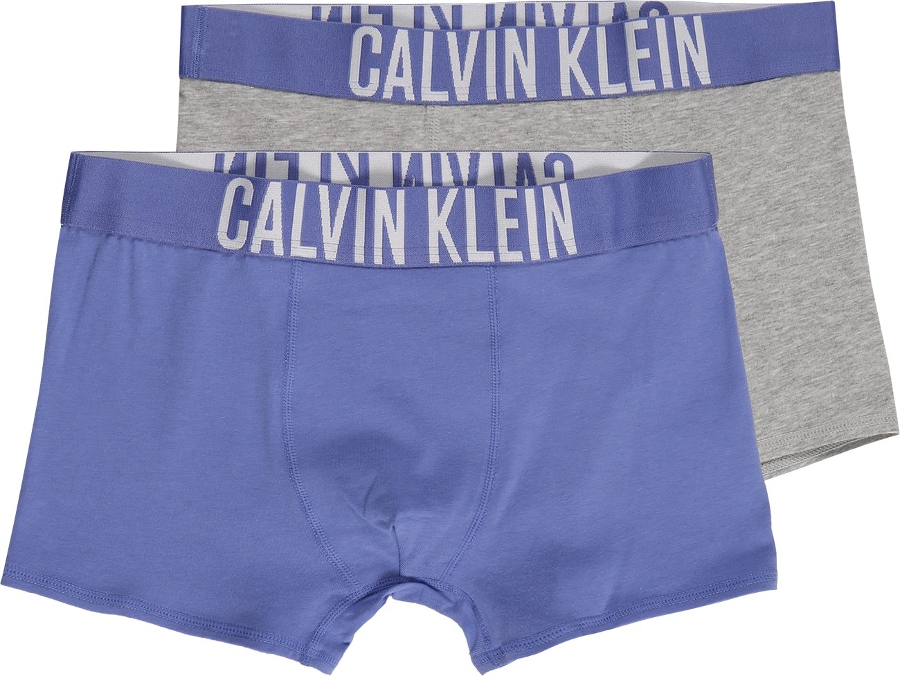 Calvin Klein Underwear Spodní prádlo 'Intense Power' modrá