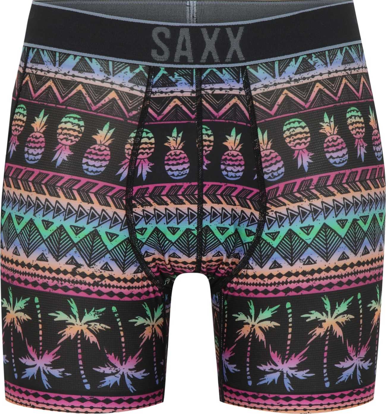 SAXX Sportovní spodní prádlo 'DROPTEMP' černá / fialová / mátová / modrá
