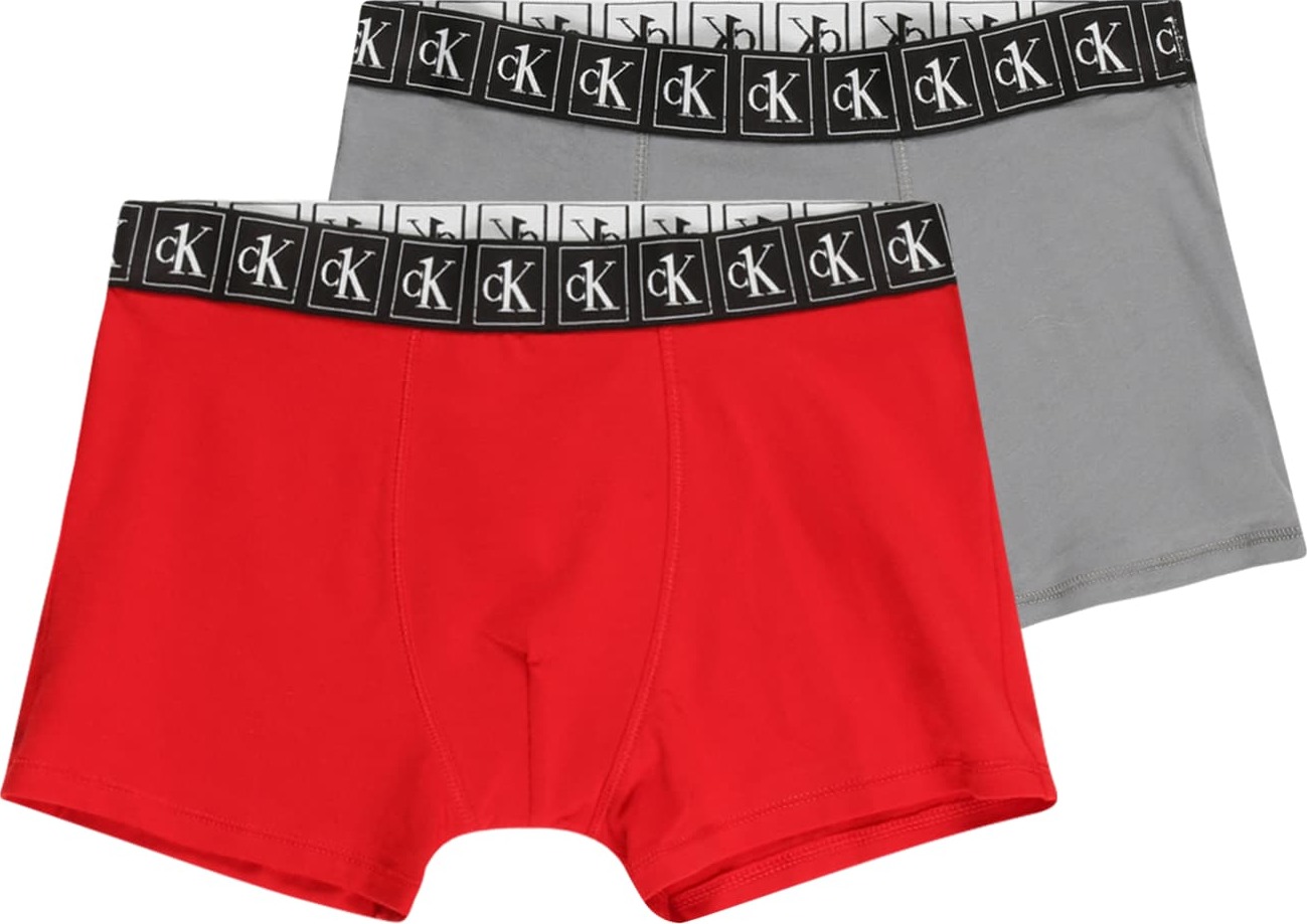 Calvin Klein Underwear Spodní prádlo šedá / červená