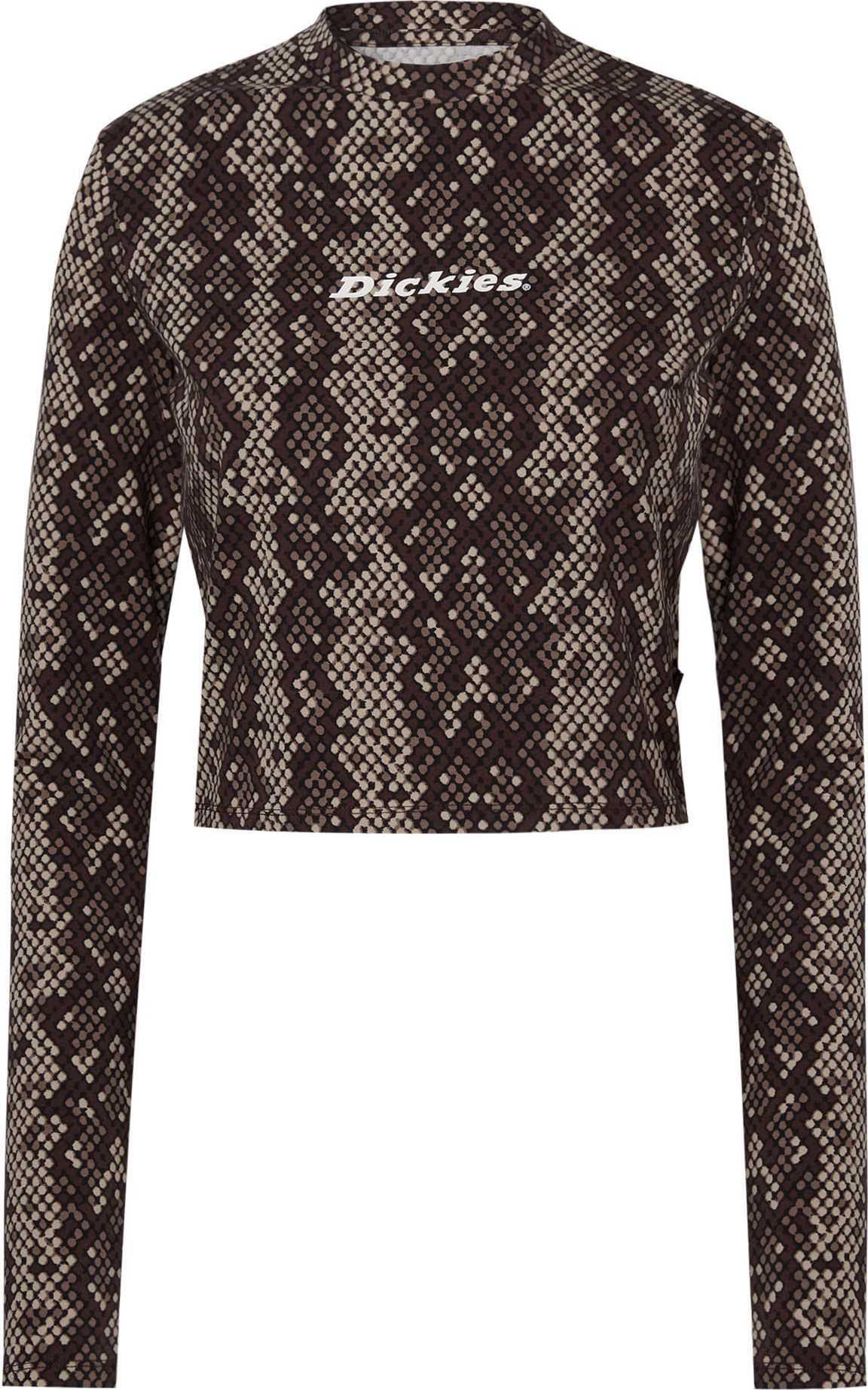 DICKIES Tričko 'Camden' hnědá / tmavě hnědá / bílá
